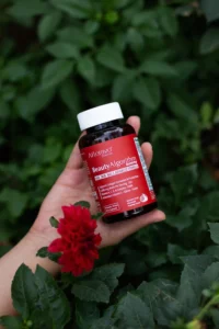 پاستیل بیوتی الگوریتم افترایو ۶۰ عددی