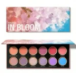 پالت سایه شیگلم KYOTO IN BLOOM